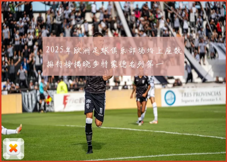 2025年欧洲足球俱乐部场均上座数排行榜揭晓多特蒙德名列第一