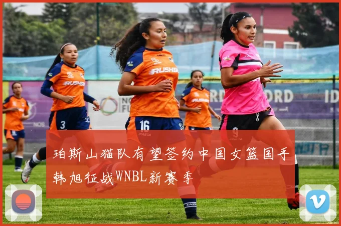 珀斯山猫队有望签约中国女篮国手韩旭征战WNBL新赛季