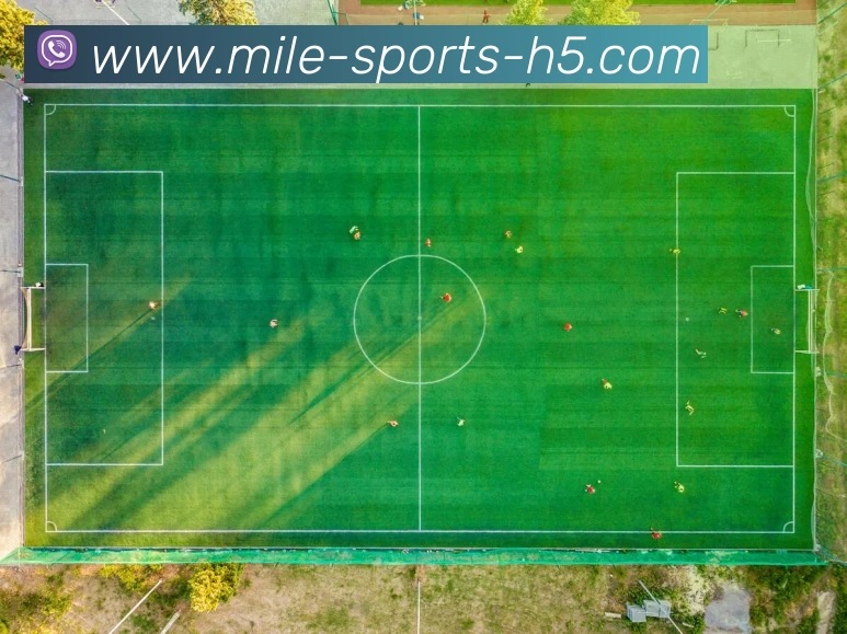 米乐体育APP 封面图